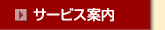 �T�[�r�X�ē�