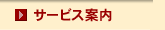 �T�[�r�X�ē�