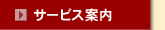 �T�[�r�X�ē�